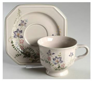 Natural Charms Mikasa Cup And Saucer