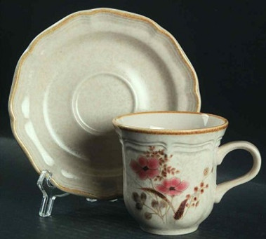 Strawflowers Mikasa Cup And Saucer