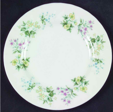 Spring Valley Minton Bread And Butter Plate