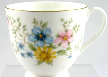 Elegy Royal Doulton Cup Only