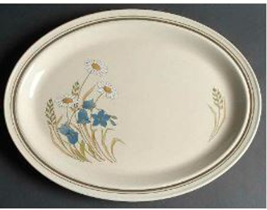 Hilltop  Royal Doulton Medium Platter