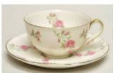 Delaware Haviland Cup And Saucer