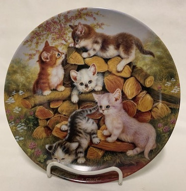 Abenteuer Auf Dem Holzstapel 9