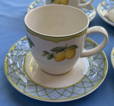 Fruit Rapture Cup and Saucer