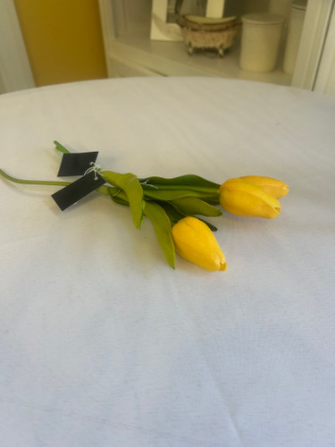 YELLOW TULIPS