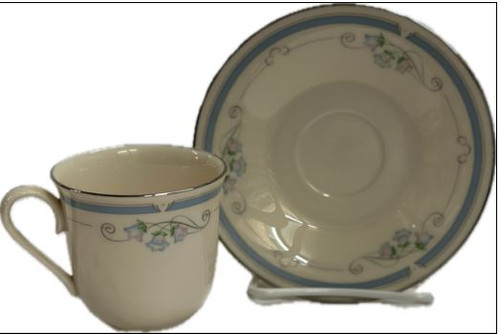 Ashton Park Cup and Saucer