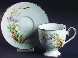 Edenderry Cup and Saucer-Noritake