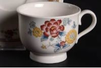 Kashmir Cup Only