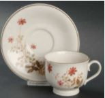 Outlook Cup and Saucer - Noritake