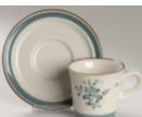 Pleasure Cup and Saucer - Noritake
