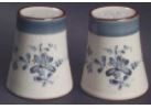 Pleasure Salt and Pepper Shaker - Noritake