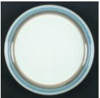 Polar Dinner Plate - Noritake
