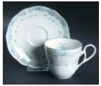 River James Cup and Saucer - Noritake