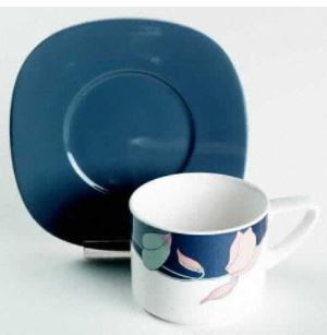 Santa Barbara Cup and Saucer - Noritake