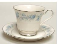 Splendor Cup and Saucer - Noritake