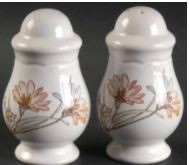 Springlike Salt and Pepper Shaker-Noritake