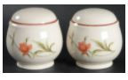 Trinidad Salt and Pepper Shaker