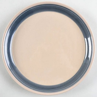 Discovery Dinner Plate