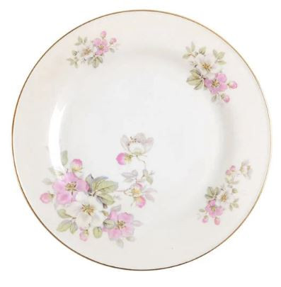 Apple Blossom Pasco Tirschenreuth Dinner Plate