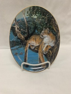 Reverence  Cougar Series  Spirit Journeys Bradford Ex.