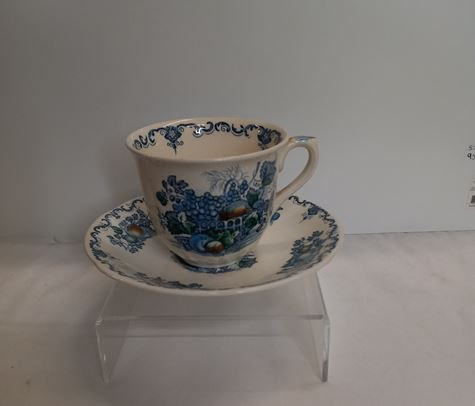 Blue Fruit Basket Ma. Cup And Saucer
