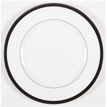 Reflection Dinner Plate