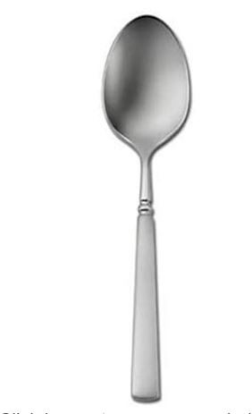 Easton Oneida Place Spoon Matte Finish