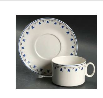 Salzburg Cup and Saucer - Villeroy and Boch