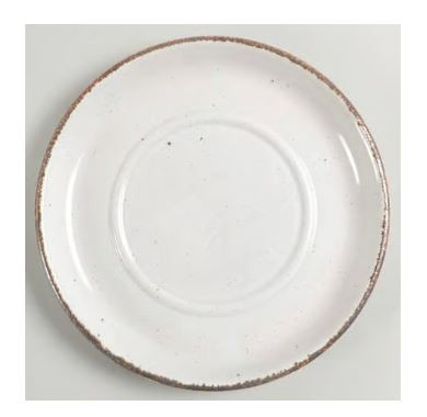 Wild Oats Midwinter Stonehenge Wedwood Saucer Only