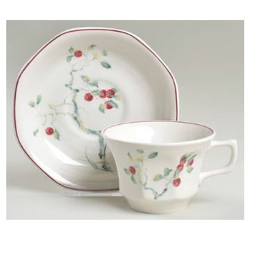 Persimmon Adams By Wedgwood Cup And Saucer