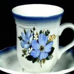 Natures Best Mikasa Cup Only