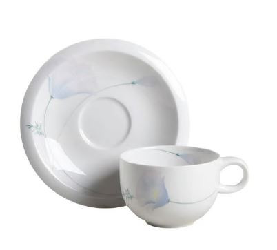 Pizzazz Mikasa Cup And Saucer