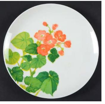 Sunny Window Mikasa Salad Plate