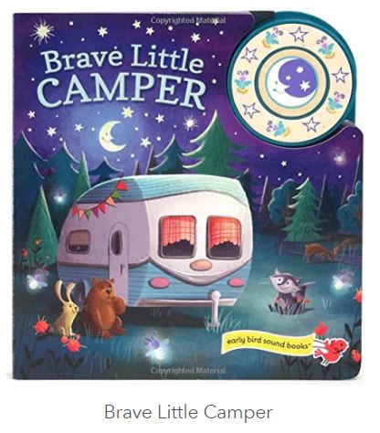 Brave Little Camper Book Cottage Door Press