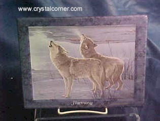 Harmony A2476 Bradford Exchange Plate