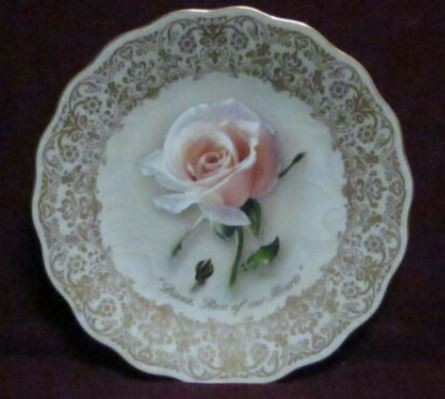 Diana Rose Of Our Hearts 13037