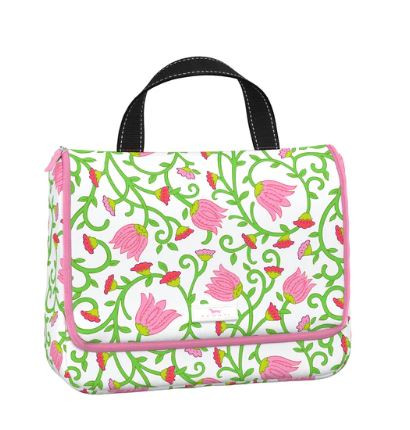 Beauty Gordito Late Bloomer Sc