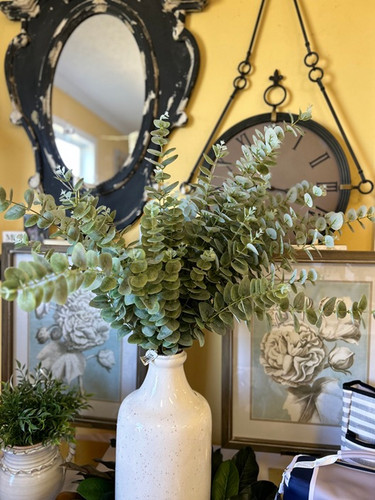 Eucalyptus (single branch)