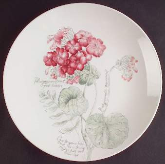 Artist Sketchbook Dinner Plate