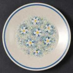 Dewdrops Bread and Butter Plate