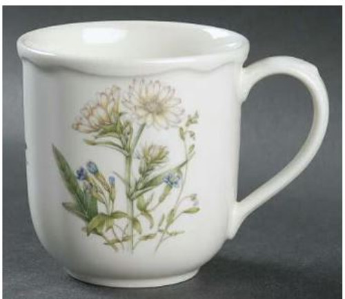 Gourmet Garden Noritake Silphi