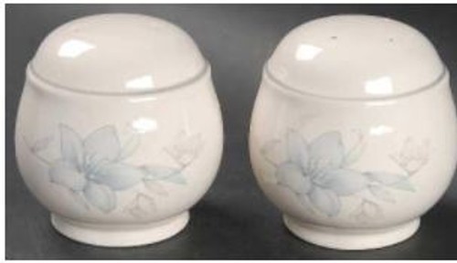 Kerry Spring Noritake Salt And