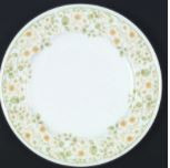 Parkside Dinner Plate