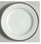 Regina Platinum Dinner Plate