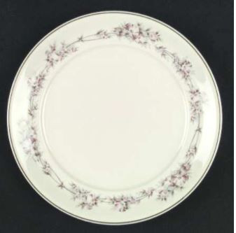 Yesterday Dinner Plate