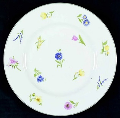 Floral Gallery Mikasa Salad Pl