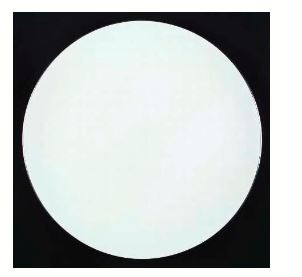 Carousel Dinner Plate