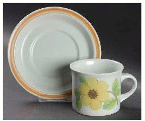 Summer Days Royal Doulton Cup And Saucer