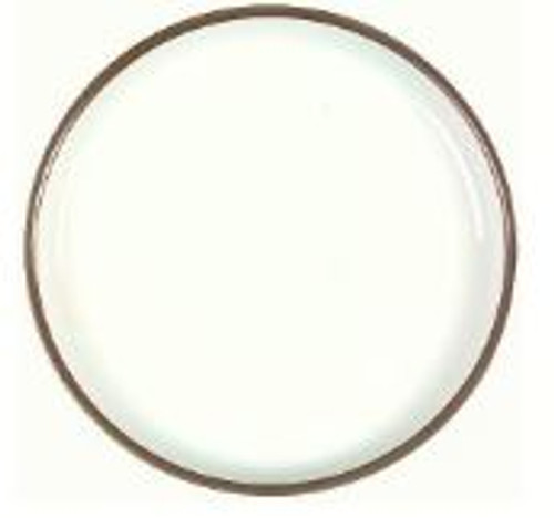 Camelot Denby Dinner Plate New