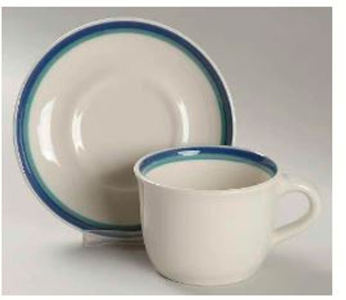 Northwinds Pfaltzgraff Cup And Saucer